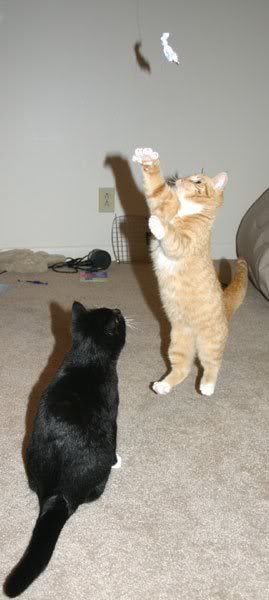 Playing with some paper ^^